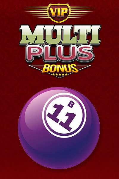 Multi Plus Bonus VIP
