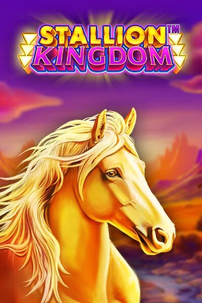 Stallion Kingdom
